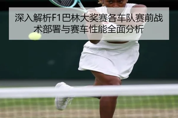 深入解析F1巴林大奖赛各车队赛前战术部署与赛车性能全面分析
